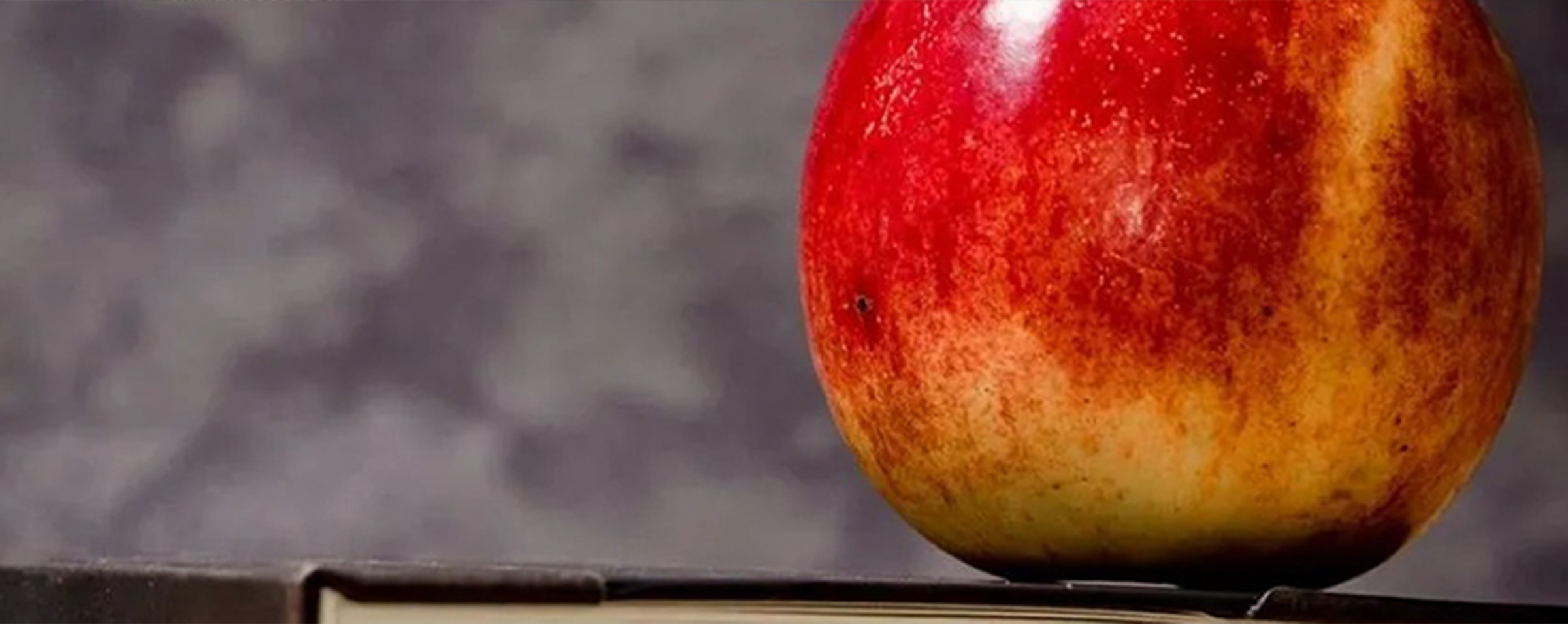 Yours Advisory - The Truth About Education